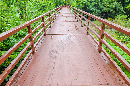泰国Khaoyai公园热带森林大桥高清图片