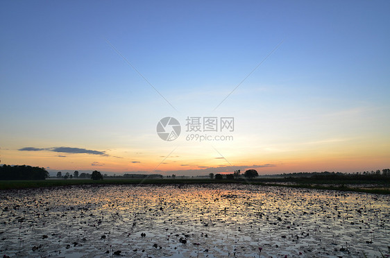 五颜六色的日落湿地上图片