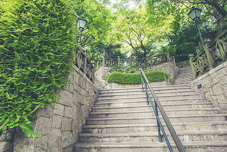 公共绿地场景夏天高清图片