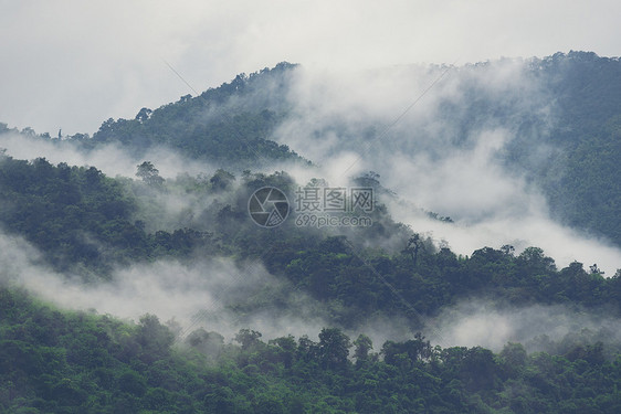 亚洲热带雨林,自然景观背景图片