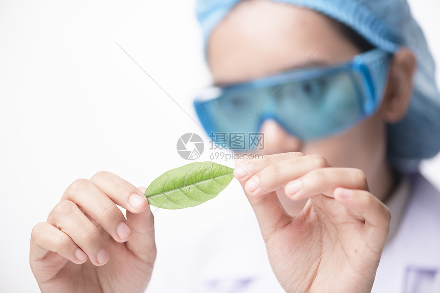 食品研究人员生物植物幼苗的检测活的特写图片