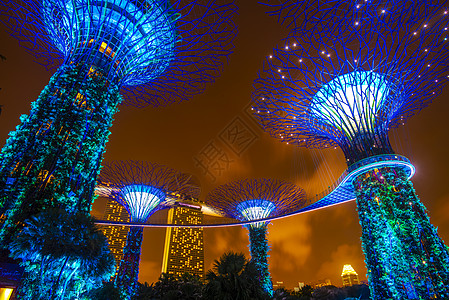 新加坡海湾花园夜间的超级树花园图片