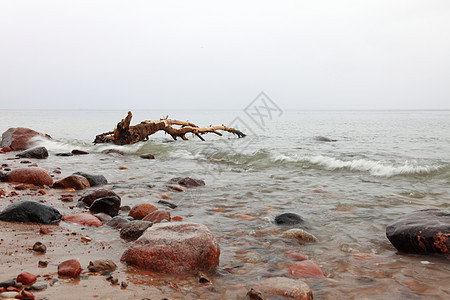 波兰的奥洛沃,海水中的石头秋天图片