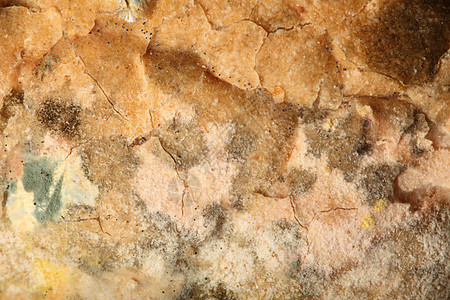霉菌生长的老包没纹理背景图片