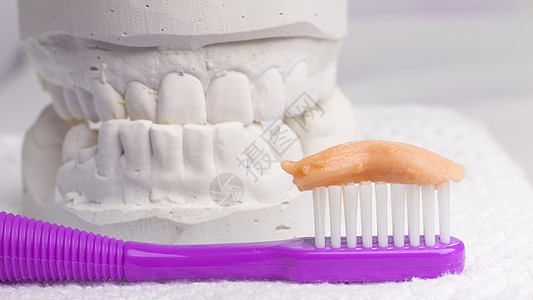 口腔卫生健康理念封闭牙刷与膏牙科石膏模型石膏图片