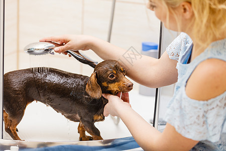 照顾她小狗的女人女洗涤,清洗淋浴下的花生动物卫生女人洗澡她的狗图片