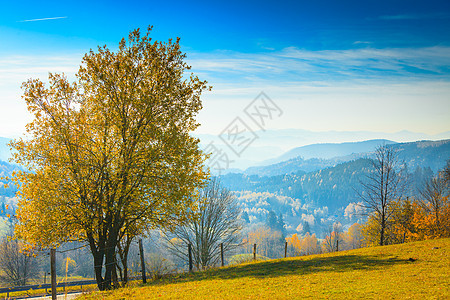 秋落雾山景观斯洛伐克塔特拉秋天的颜色山上的树米西的早晨季节自然风光秋季雾山景观斯洛伐克图片