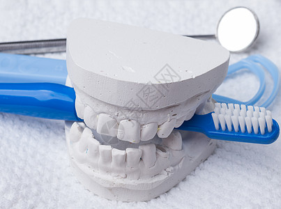 口腔卫生健康理念特写蓝色牙刷镜舌头清洁剂与牙科石膏模型图片
