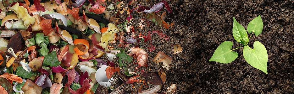 堆肥堆肥土壤循环堆腐烂的厨余垃圾与水果蔬菜垃圾废物变成机肥土与生长的轻植物复合材料背景图片