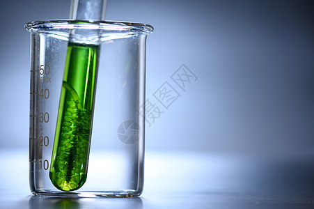 生物技术实验室的藻类生物燃料,生物燃料工业实验室的光生物反应器藻类燃料研究图片