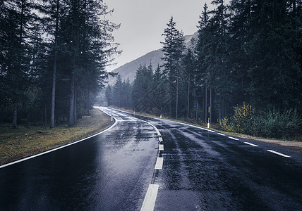 性感曲线道路夏天的雾林中下雨景观与完美的沥青山路阴雨天雾中反光绿树的巷道复古风格空公路旅行道路夏天的雾背景