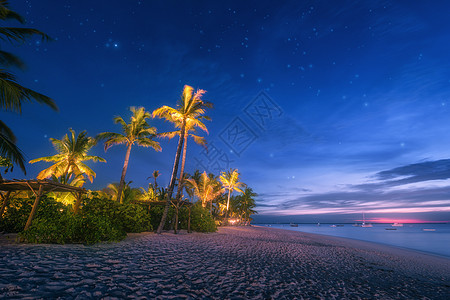 夏天的蓝色时刻,沙滩上棕榈树遮阳伞风景海岸,美丽的星空,绿色的手掌夜间的黄光非洲桑给巴尔旅行背景图片