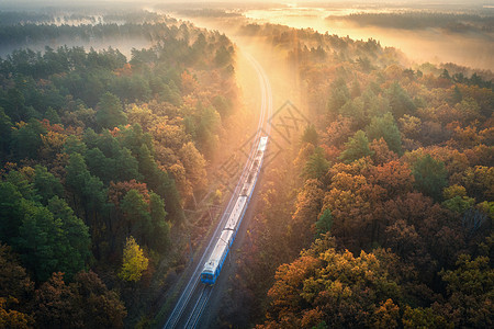 秋天日出时,美丽的森林里乘火车秋季移动通勤列车的鸟瞰图五颜六色的风景与铁路,雾树与橙色的叶子,雾的风景火车图片