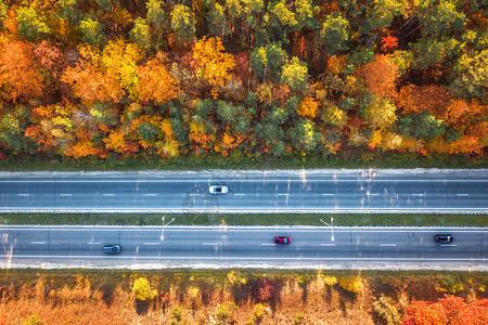 大森林日落时美丽的秋林中的道路鸟瞰五颜六色的景观与公路,汽车,树木与红色,黄色橙色的叶子巷道的顶部视图秋天的颜色秋天背景