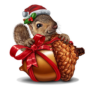 诞松鼠礼物种趣可爱的动物,着颗巨大的橡子树坚果,个红色的节日蝴蝶结,节日的象征,代表着喜悦3D插图元图片