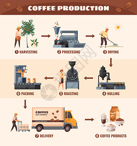 脱壳咖啡生产海报与加工烘焙符号卡通矢量插图插画