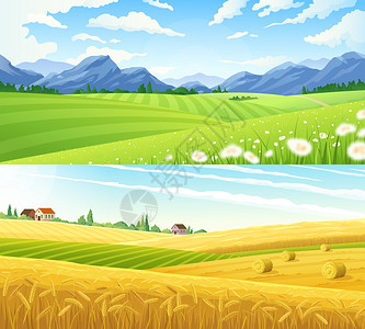 农场场景夏季乡村景观两个水平横幅与全景风光麦地矢量插图背景图片