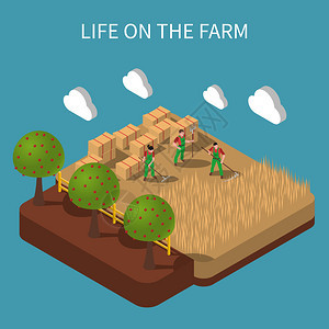 农场生活等距成与事干草制作的农业工人乡村景观背景矢量插图图片