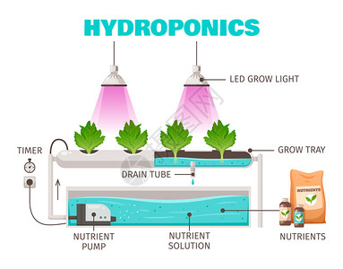 水培养殖与垂直节水符号卡通矢量插图图片