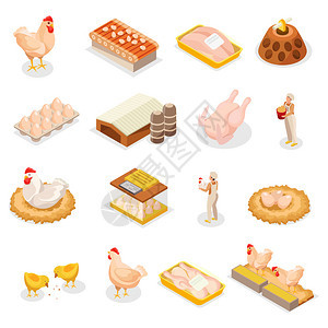 鸡场了16个等距图标的家禽产品图像的动物工人矢量插图图片