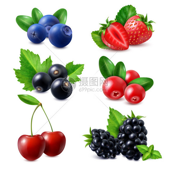 浆果逼真的套草莓蓝莓,草莓,黑莓,醋栗,樱桃分离矢量插图图片