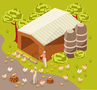 鸡法恩等距成与室外景观人类工人与鸡附近的谷仓建筑矢量插图图片