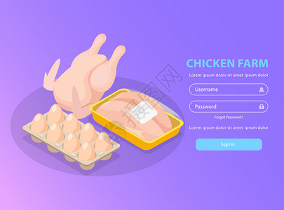 鸡场等距背景登录页与可编辑的文本图像肉鸡蛋圆角矢量插图图片