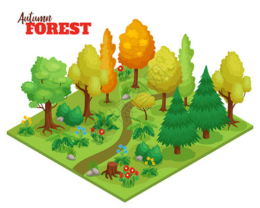 秋季森林与树木花卉路径等距矢量插图图片