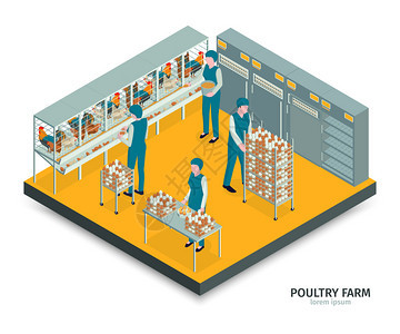 等距家禽养殖场成与文本室内视图与工人收集鸡蛋橱柜架矢量插图图片