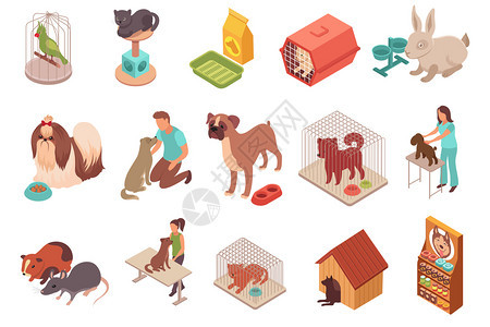 宠物动物等距图标,啮齿动物,鹦鹉,兔子,猫狗的同品种的孤立矢量插图图片