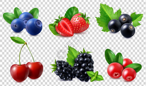 浆果图标樱桃蓝莓黑莓草莓蔓越莓醋栗分离透明背景现实矢量插图图片