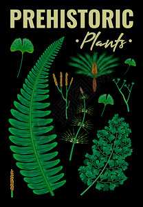 史前植物垂直背景成华丽的文字古老的绿色草药图像上的黑色背景矢量插图图片