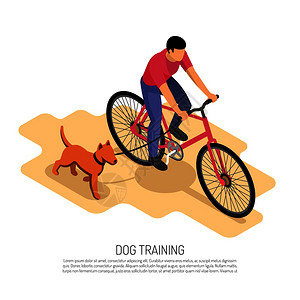 犬学家耐力训练等距成与骑自行车与跑步狗氧运动教育海报矢量插图愤世嫉俗者等距成图片