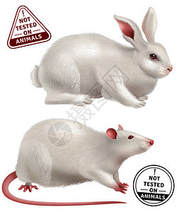 白兔老鼠现实的图标邮票与文本没测试动物矢量插图没动物上测试真实的图标图片