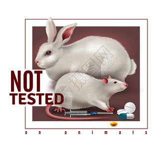 测试动物的真实背景与白兔大鼠医疗制剂矢量插图没动物现实背景上测试图片