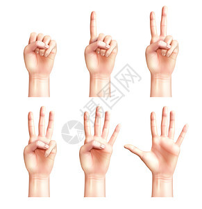 现实的人的六个手势,手指零五个矢量插图计数图片