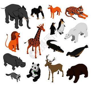 草食捕食动物园动物集等距图标白色背景孤立矢量插图图片