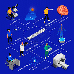 神经学与神经外科等距流程图与神经研究符号矢量插图图片