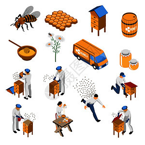 养蜂等距与花蜜蜂养蜂人附近的蜂房蜂蜜各种容器中分离矢量插图图片