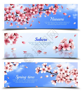 现实的三个水平横幅与盛开的樱花蓝天背景上矢量插图图片