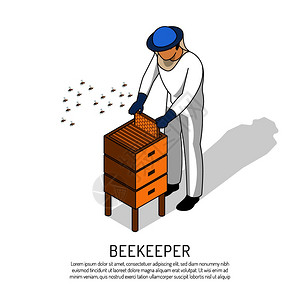 养蜂人防护服工作期间与蜂箱白色背景等距矢量插图图片