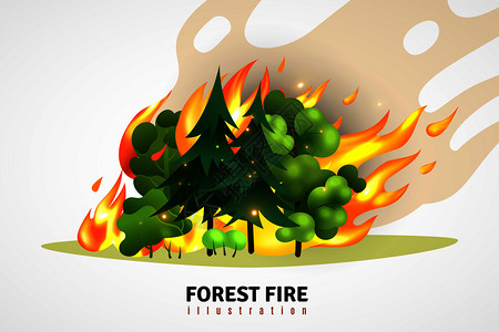 自然灾害卡通说明了绿色针叶树落叶树森林中肆虐的火灾矢量插图图片