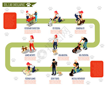普通生活中的人他的狗等距信息图与兽医检查宠物喂养,梳理宠物狗遛狗训练等描述矢量插图图片