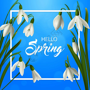 现实的雪滴花你好夏季海报背景与平框华丽的文字自然春季花卉矢量插图图片