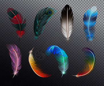 彩色逼真的鸟类羽毛集,以同的图案彩虹颜色绘制透明的背景矢量插图上图片