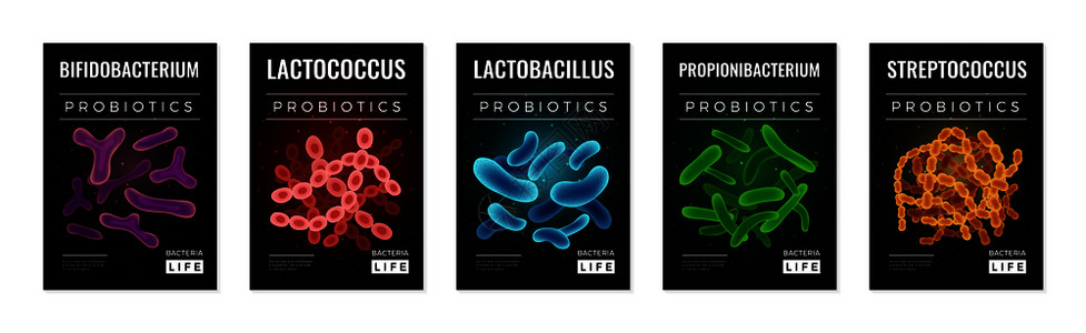 益生菌健康垂直横幅细菌符号平分离载体插图图片