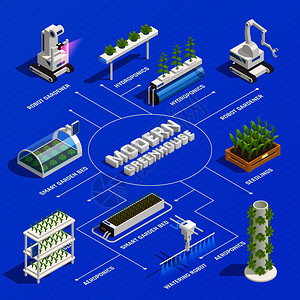 现代温室智能植物床机器人园丁水培气培系统发芽幼苗等距流程图矢量插图背景图片