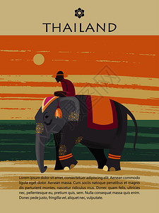泰国参观大象大象海洋景观的背景上矢量插图旅游网站模板,旅游指南泰国参观大象矢量插图图片