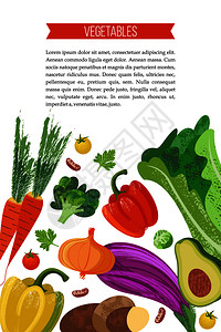 套手绘蔬菜白色背景上的矢量插图美味的五颜六色的蔬菜,用手画出独特的快乐的世界素食日矢量插图与手绘独特的纹理图片