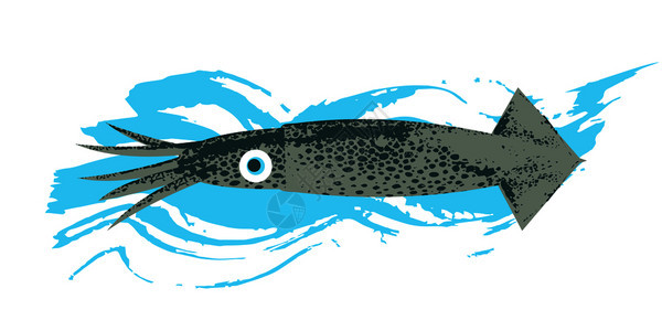 海洋生物海鲜卡尔玛蓝色纹理波白色背景上的矢量插图插图独特的手绘纹理海洋生物海鲜卡尔玛蓝色纹理波图片